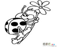 七星瓢虫简笔画：七星瓢虫儿童画画图片